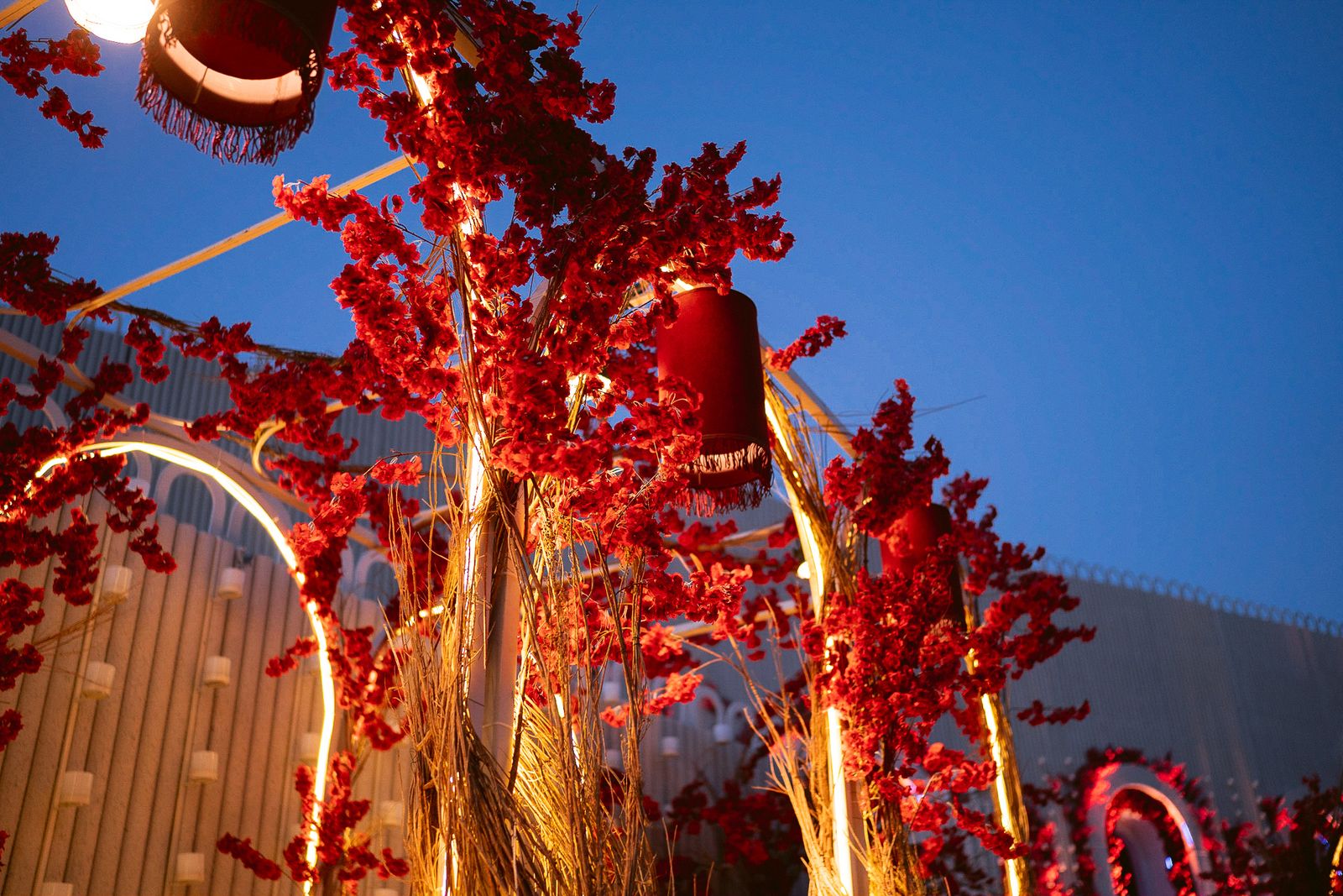 Red is Love — frame 24